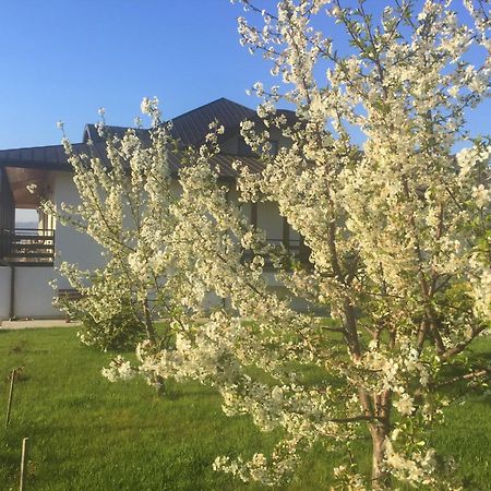 Tango Margo Otel Valea Lupului  Dış mekan fotoğraf