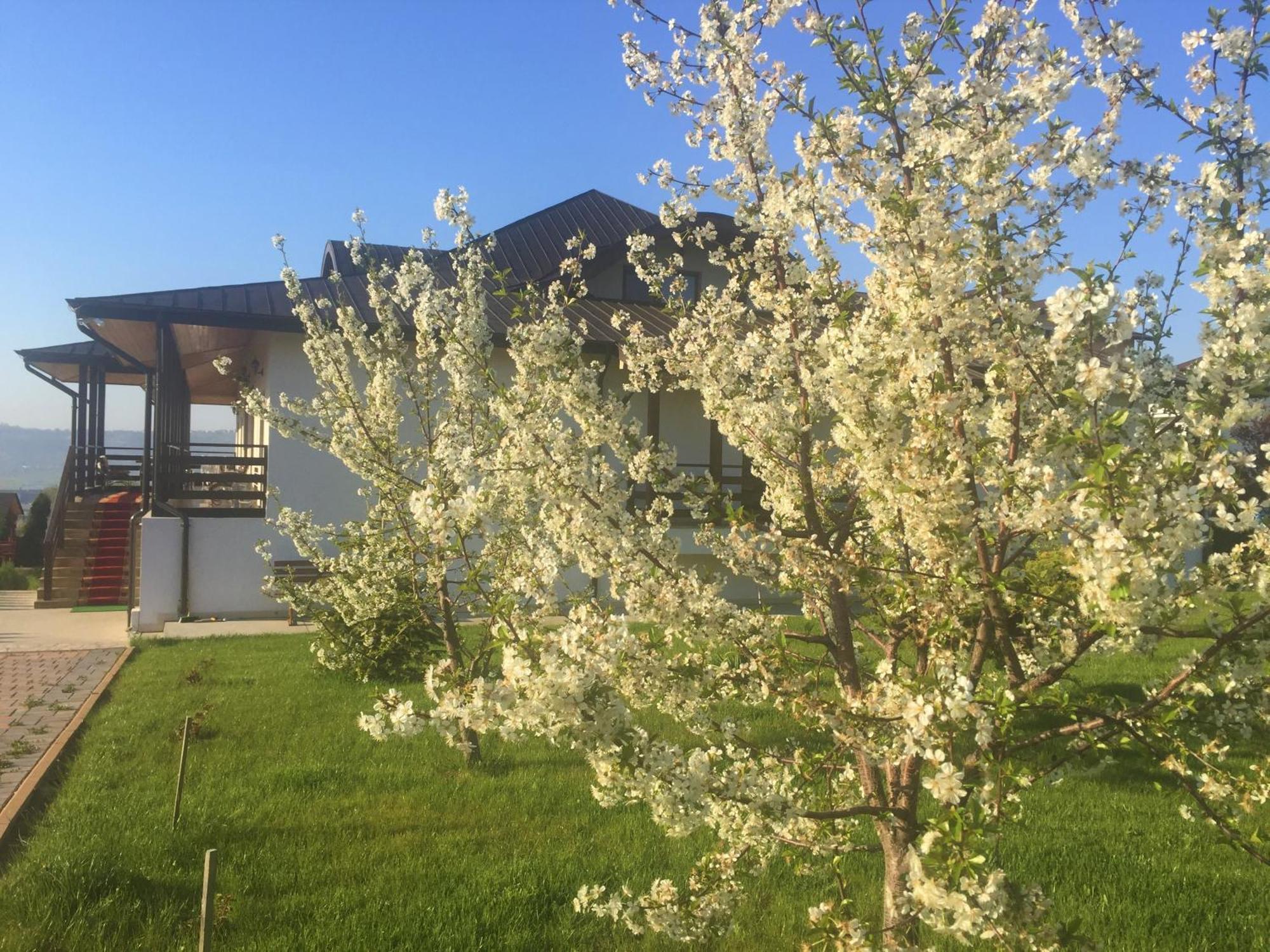 Tango Margo Otel Valea Lupului  Dış mekan fotoğraf