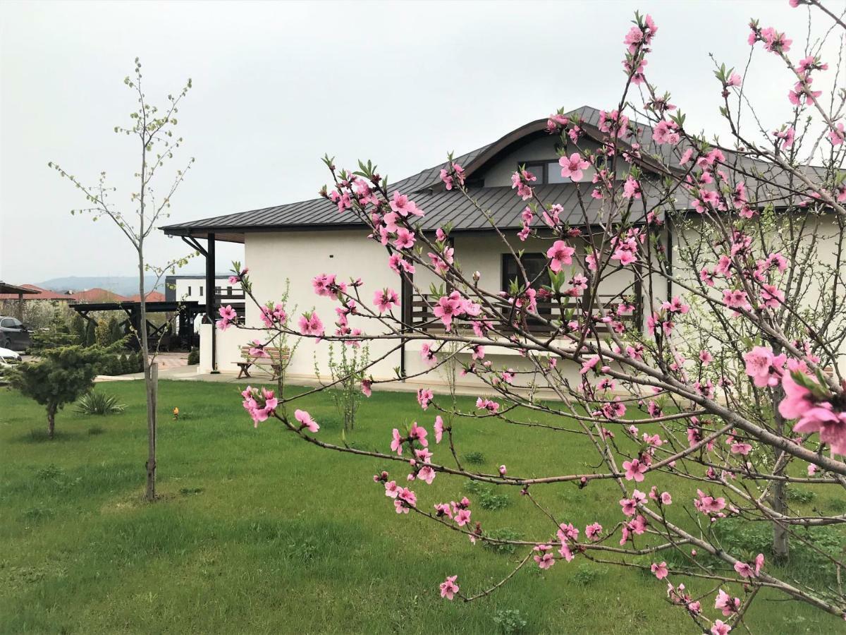 Tango Margo Otel Valea Lupului  Dış mekan fotoğraf